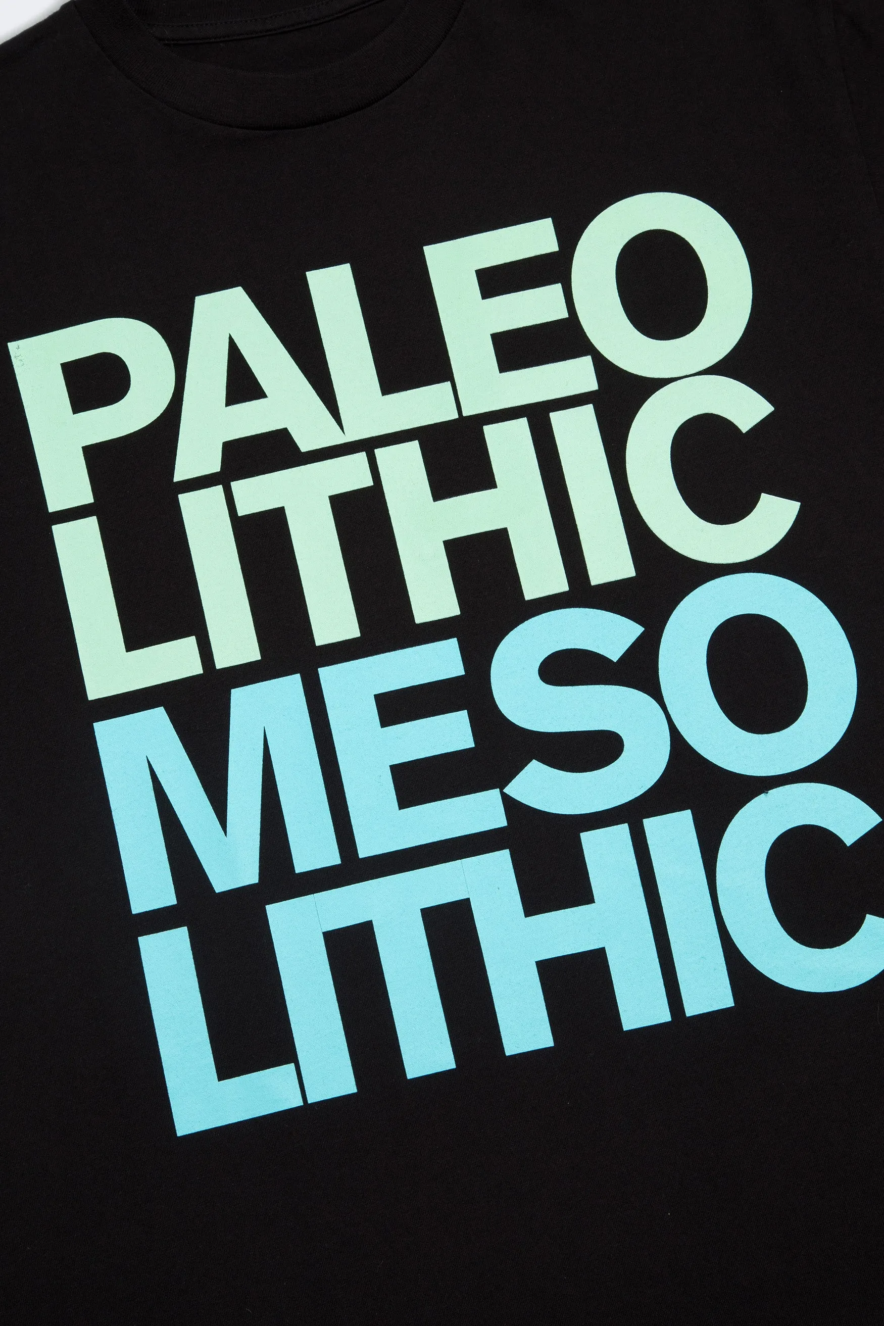 Paleo/Meso SS T